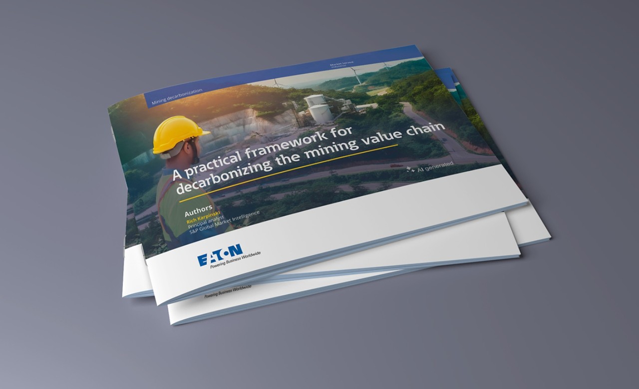 3d image cover page of the s and p global wp